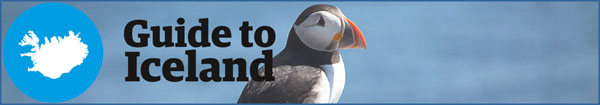 puffin tour